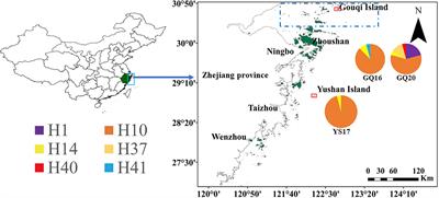 High genetic diversity revealed in the native populations of Undaria pinnatifida from China by mitochondrial sequences and nuclear microsatellites